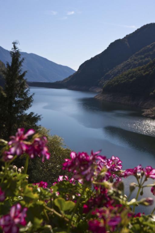 Hotel Al Lago ヴォゴルノ エクステリア 写真